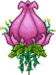 世纪之花